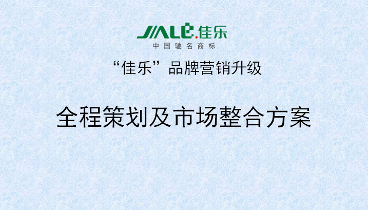 2013年3月18日正睿專家老師向佳樂項目董事長陳述調研報告