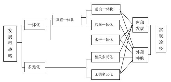 公司層戰略的類型和原則